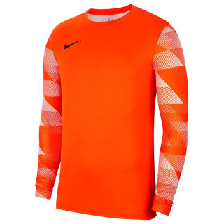 Bluza bramkarska junior Nike Park IV CJ6072-819 | VUX.pl