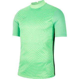 Koszulka bramkarska męska Nike Gardien III zielona BV6714-398 | VUX.pl