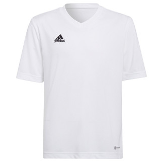 Koszulka adidas ENTRADA 22 JSY Y HC5054 | VUX.pl