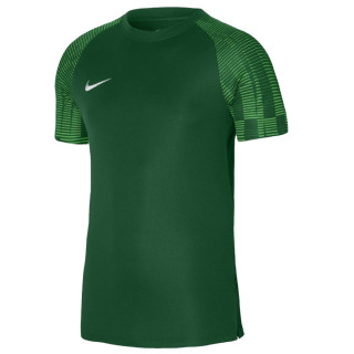 Koszulka treningowa męska Nike Dri-FIT Academy zielona | VUX.pl