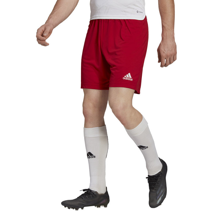 Spodenki piłkarskie męskie adidas Entrada 22 czerwone H61735 | VUX.pl