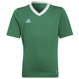 Koszulka adidas ENTRADA 22 JSY Y HI2126 | VUX.pl
