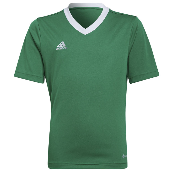 Koszulka adidas ENTRADA 22 JSY Y HI2126 | VUX.pl
