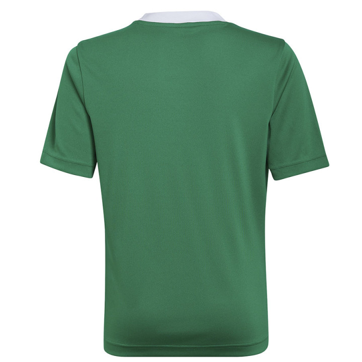 Koszulka adidas ENTRADA 22 JSY Y HI2126 | VUX.pl
