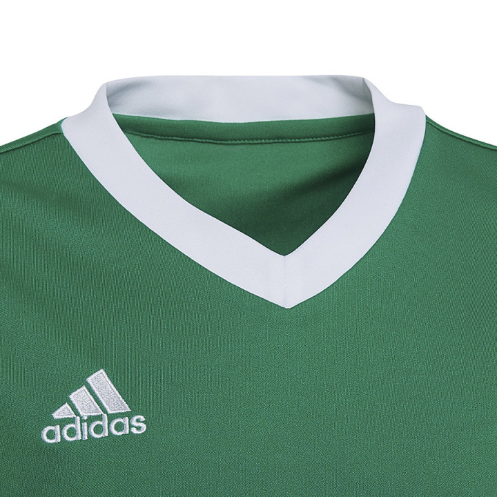 Koszulka adidas ENTRADA 22 JSY Y HI2126 | VUX.pl