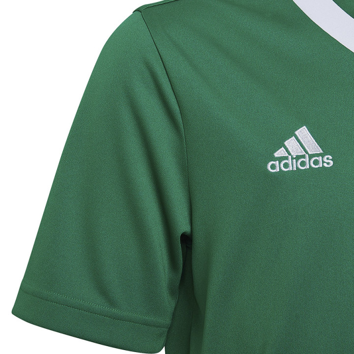 Koszulka adidas ENTRADA 22 JSY Y HI2126 | VUX.pl