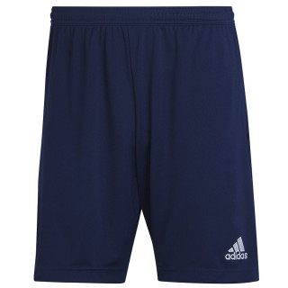 Spodenki adidas ENTRADA 22 Training Short H57488 | VUX.pl