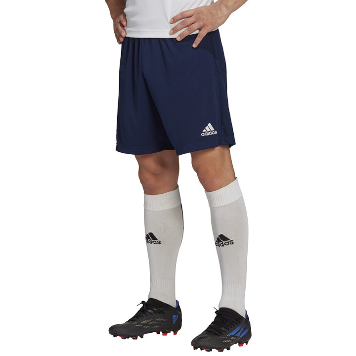 Spodenki adidas ENTRADA 22 Training Short H57488 | VUX.pl