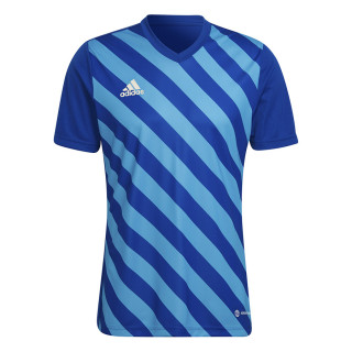 Koszulka adidas ENTRADA 22 GFX JSY HF0116 | VUX.pl