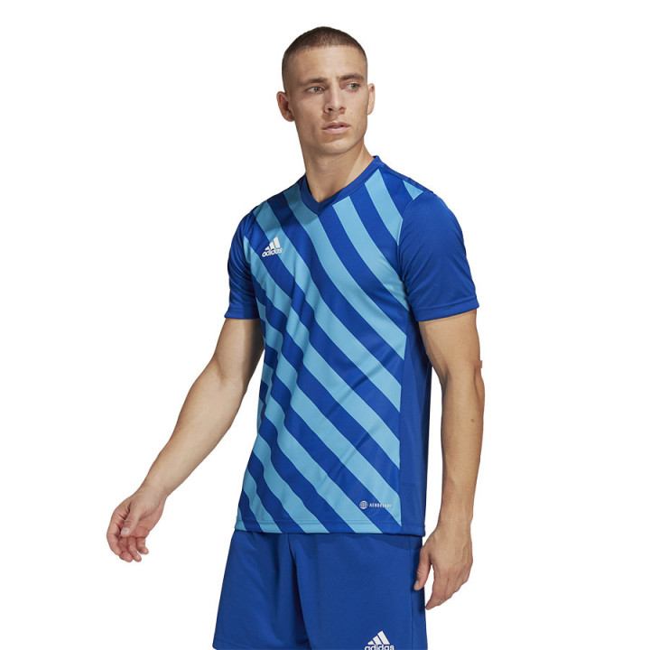 Koszulka adidas ENTRADA 22 GFX JSY HF0116 | VUX.pl