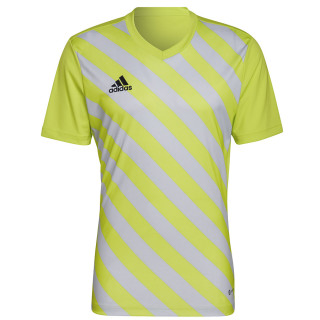 Koszulka treningowa męska adidas Entrada 22 Graphic Jersey | VUX.pl