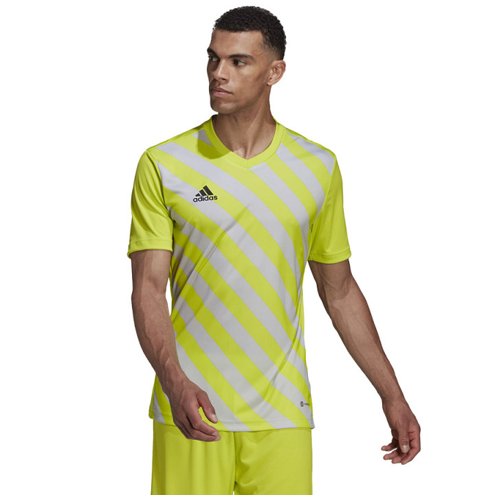 Koszulka treningowa męska adidas Entrada 22 Graphic Jersey | VUX.pl