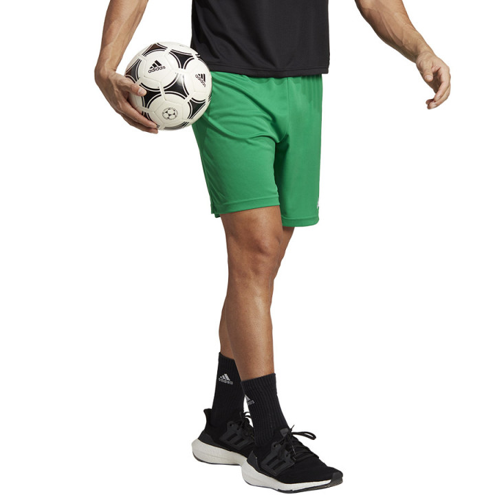 Spodenki piłkarskie męskie adidas Entrada 22 zielone IC7405 | VUX.pl