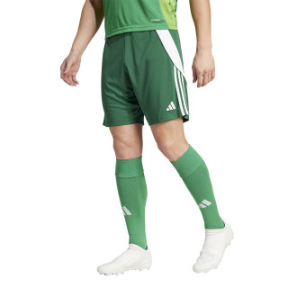 Spodenki piłkarskie męskie adidas Tiro 24 Aeroready zielone | VUX.pl