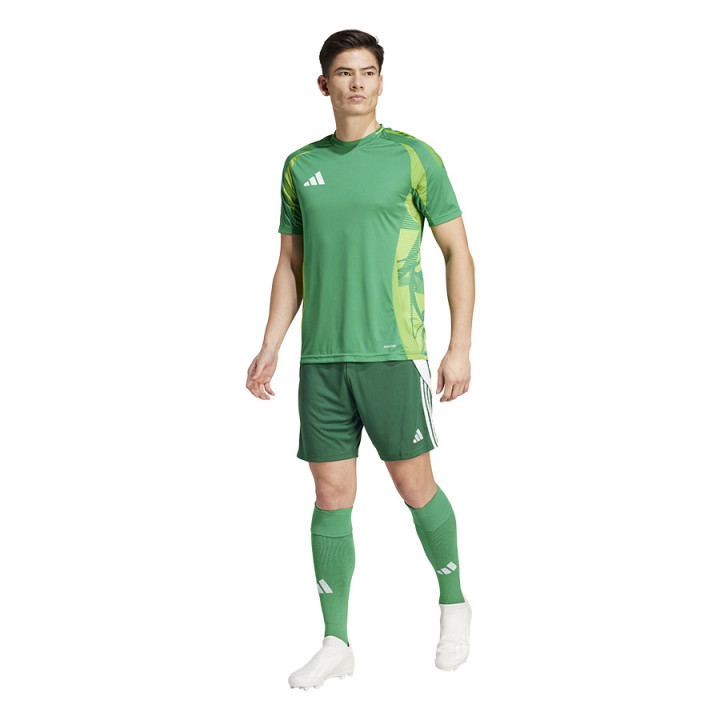 Spodenki piłkarskie męskie adidas Tiro 24 Aeroready zielone | VUX.pl