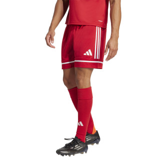 Spodenki piłkarskie męskie adidas Squadra 25 czerwone JN5466 | VUX.pl