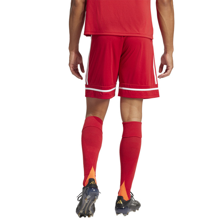 Spodenki piłkarskie męskie adidas Squadra 25 czerwone JN5466 | VUX.pl