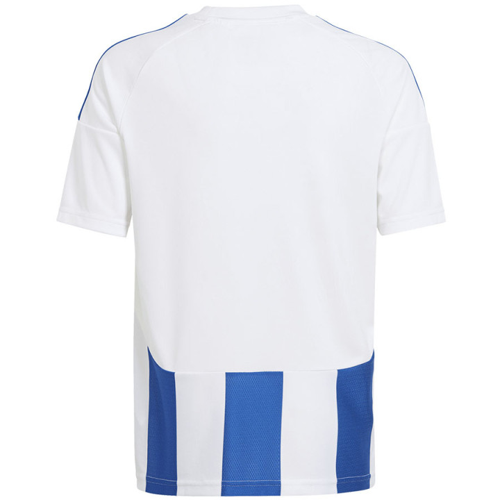 Koszulka adidas STRIPED 24 JSY IW2134 | VUX.pl