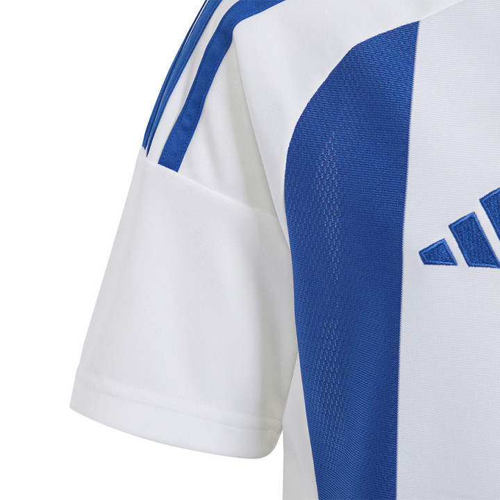 Koszulka adidas STRIPED 24 JSY IW2134 | VUX.pl