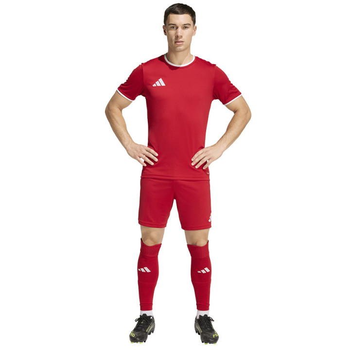 Spodenki piłkarskie męskie adidas Entrada 26 Short czerwone | VUX.pl