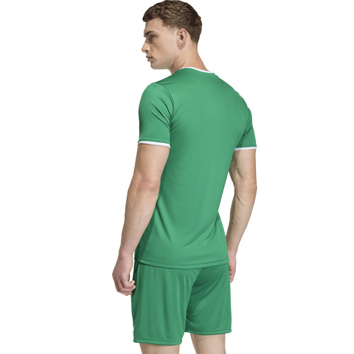 Koszulka piłkarska męska adidas Entrada 26 zielona JZ2503 | VUX.pl