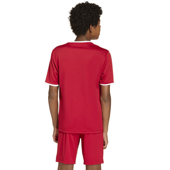 Koszulka adidas Entrada 26 JSY JZ2523 | VUX.pl