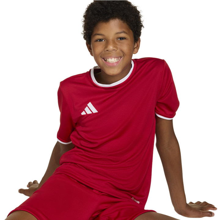Koszulka adidas Entrada 26 JSY JZ2523 | VUX.pl