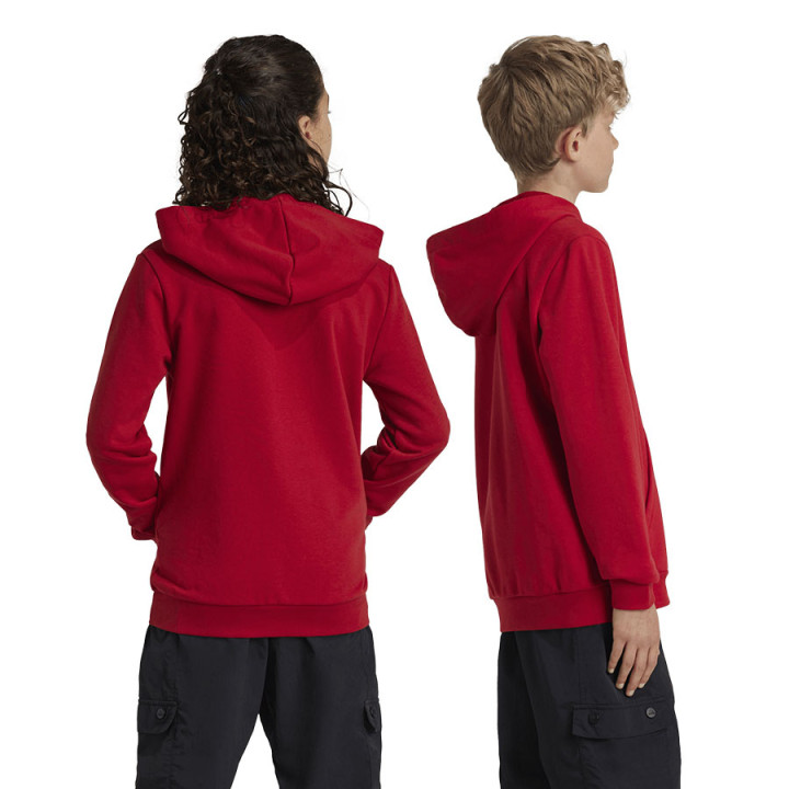 Bluza z kapturem junior adidas FC Bayern czerwona IT4134 | VUX.pl