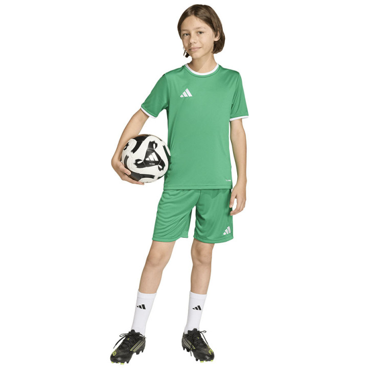 Spodenki piłkarskie junior adidas Entrada 26 zielone JZ6530 | VUX.pl