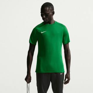 Koszulka piłkarska męska Nike Park VIII zielona HV8173-302 | VUX.pl