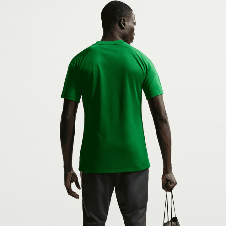 Koszulka piłkarska męska Nike Park VIII zielona HV8173-302 | VUX.pl