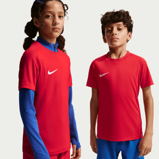 Koszulka Nike Park VIII Junior HV8182-657 | VUX.pl