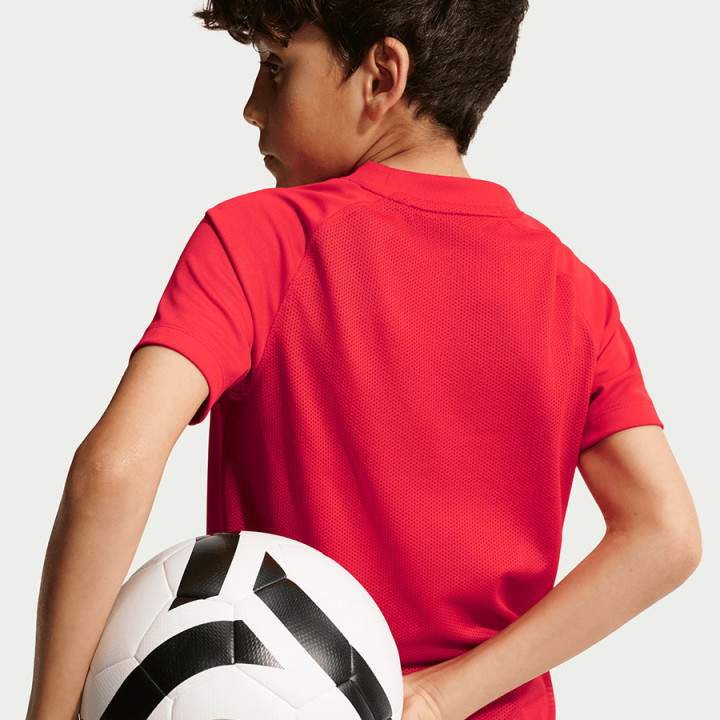 Koszulka Nike Park VIII Junior HV8182-657 | VUX.pl