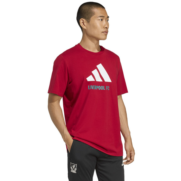 Koszulka adidas Liverpool FC Seasonal DNA Graphic Tee 2 | VUX.pl