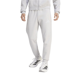 Spodnie dresowe męskie adidas Entrada 26 Sweat Pant szare | VUX.pl