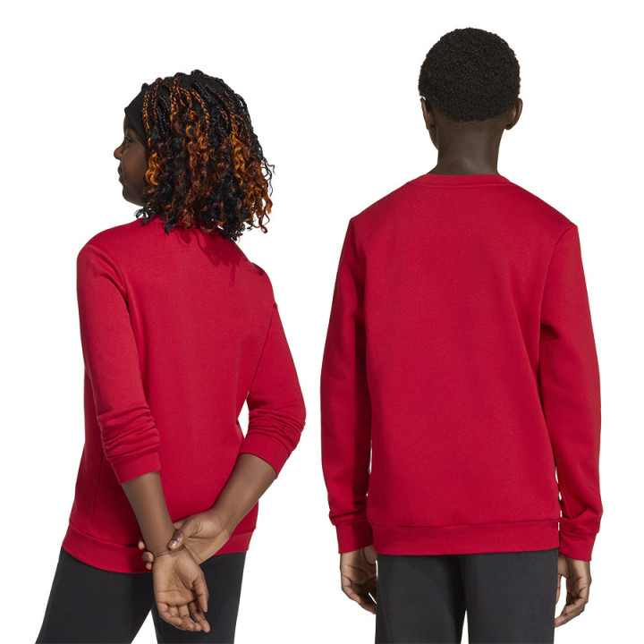 Bluza bawełniana junior adidas Entrada 26 czerwona JZ6556 | VUX.pl