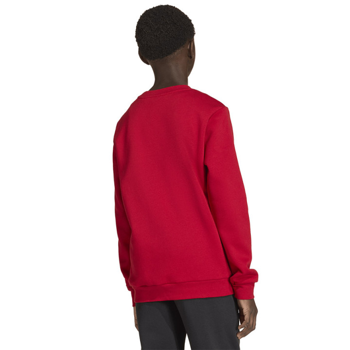Bluza bawełniana junior adidas Entrada 26 czerwona JZ6556 | VUX.pl