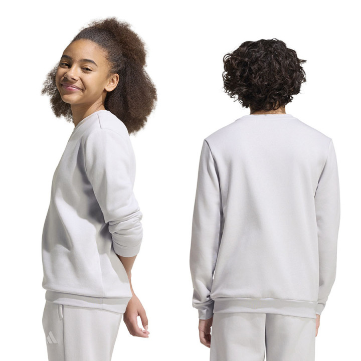 Bluza bez kaptura junior adidas Entrada 26 szara JZ6551 | VUX.pl