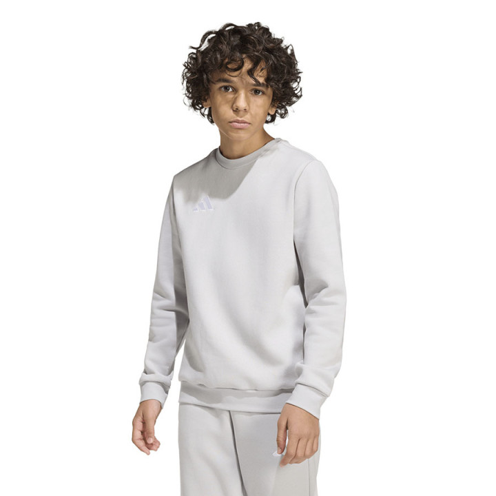 Bluza bez kaptura junior adidas Entrada 26 szara JZ6551 | VUX.pl