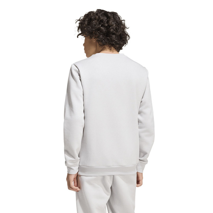 Bluza bez kaptura junior adidas Entrada 26 szara JZ6551 | VUX.pl