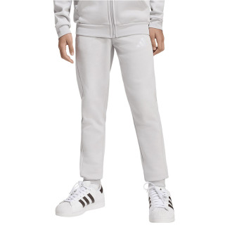 Spodnie dresowe junior adidas Entrada 26 Sweat Panty szare | VUX.pl