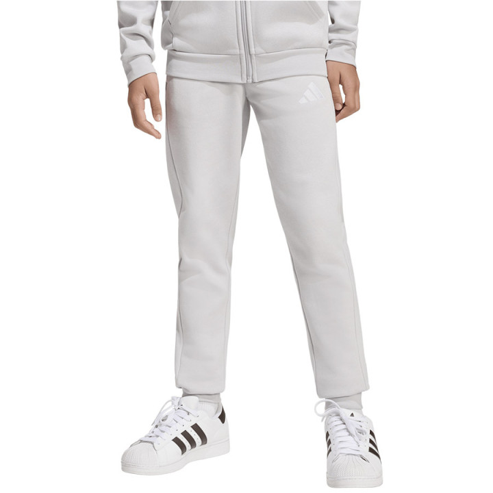 Spodnie dresowe junior adidas Entrada 26 Sweat Panty szare | VUX.pl