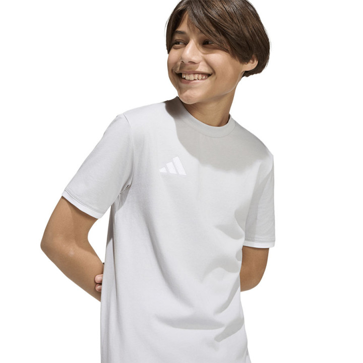 Koszulka z krótkim rękawem junior adidas Entrada 26 szara | VUX.pl
