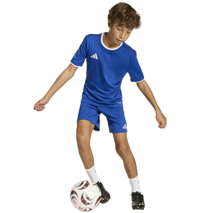 Spodenki piłkarskie junior adidas Entrada 26 niebieskie | VUX.pl