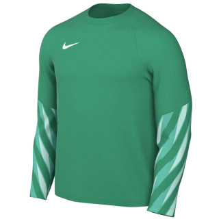 Koszulka Nike Park V Goalkeeper HV8314-324 | VUX.pl