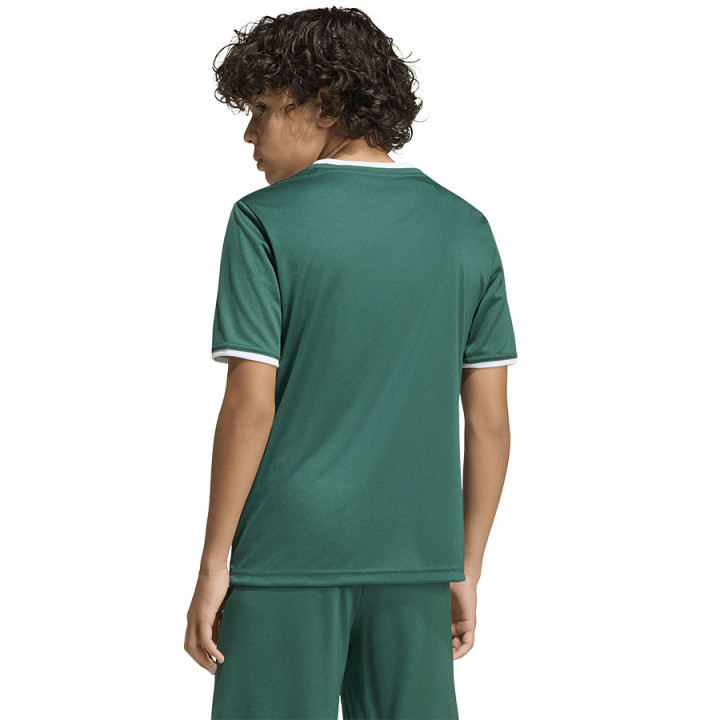 Koszulka adidas ENTRADA 26 JSY Junior KE9834 | VUX.pl