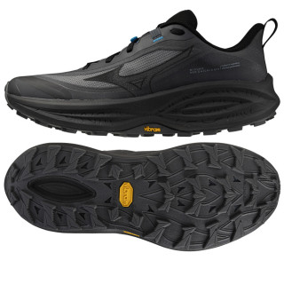 Buty Mizuno NEO DAICHI 10 GTX J1GM268252 | VUX.pl