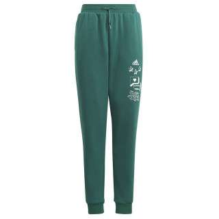 Spodnie adidas BLUV Q3 Pant Jr IA1553 | VUX.pl