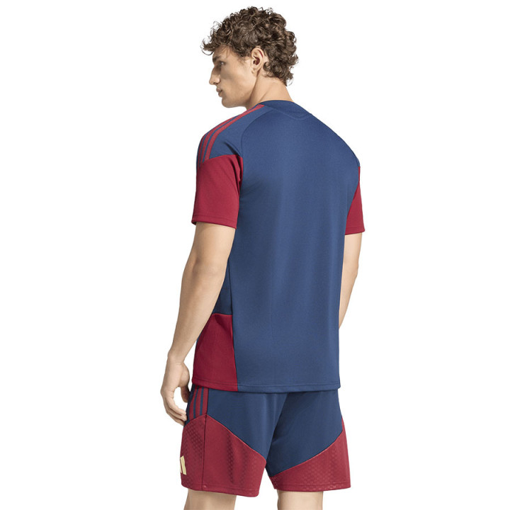 Koszulka adidas Arsenal Londyn Cup Training JSY KB9987 | VUX.pl