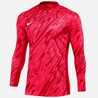 Bluza bramkarska męska Nike Gardien V Dri-FIT czerwona | VUX.pl